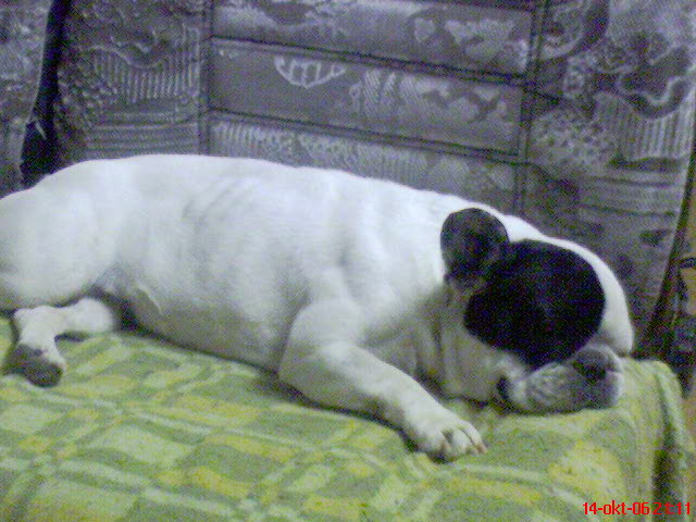 DSC00980.JPG
