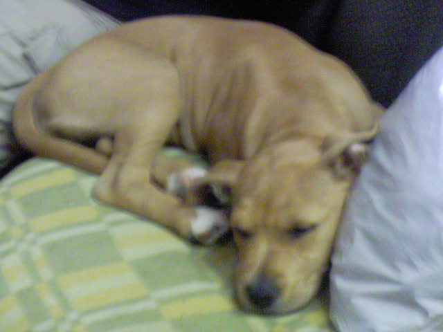 DSC00749.JPG