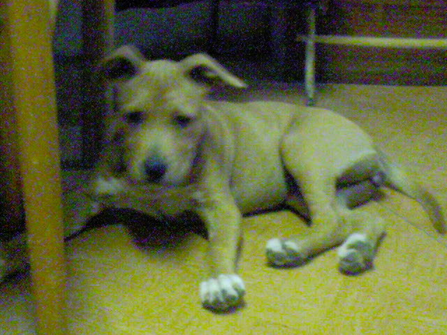 DSC00767.JPG