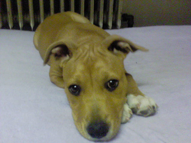 DSC00769.JPG