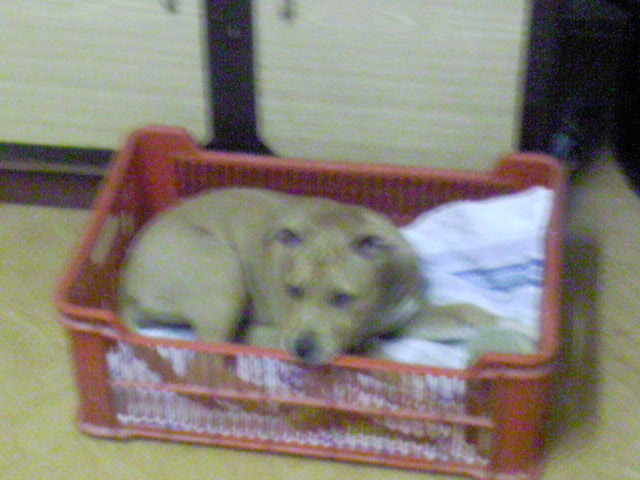DSC00782.JPG