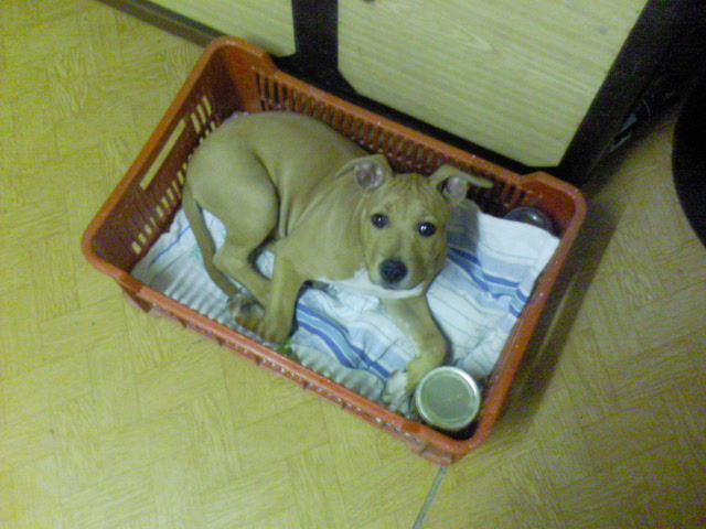 DSC00787.JPG