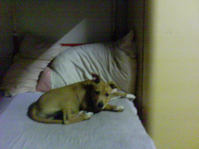 DSC00827.JPG