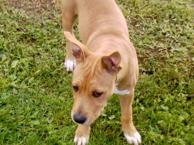 DSC00894.JPG