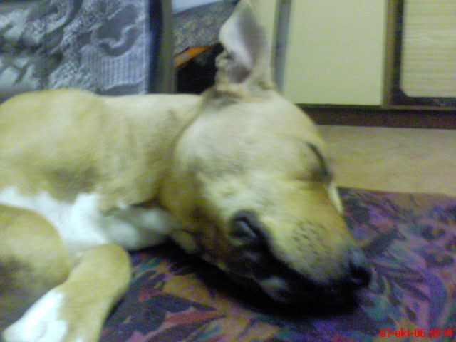 DSC00950.JPG