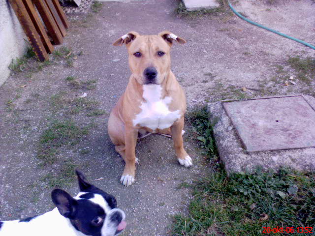 DSC00945.JPG
